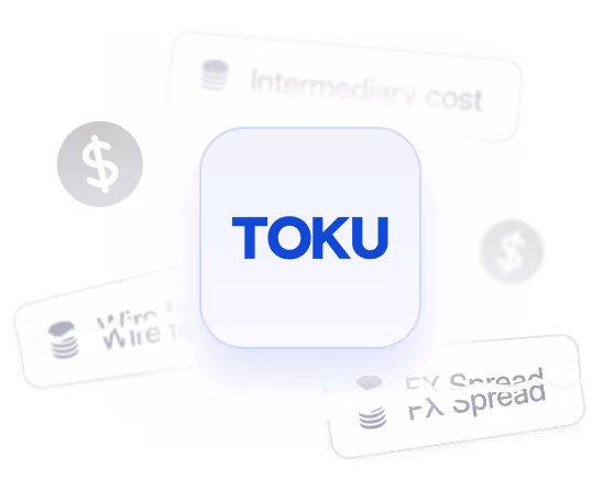 Blue text 'TOKU' in the center surrounded by blurred financial terms and icons including a dollar sign, intermediary cost, wire transfer, and FX spread.